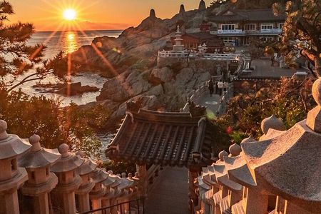 A well-rounded small group Busan tour with a certified guide