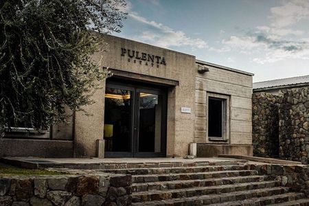 Degustación Pulenta Estate + Almuerzo en Ruda. Transporte privado