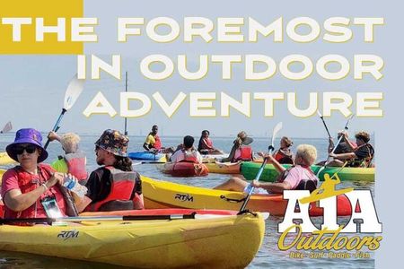 Self-Guided Kayaking Manatee and Dolphin Tour