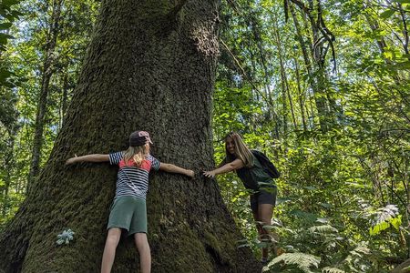 Whistler: Immersive Nature Experience for Families