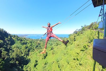 Giant Canyon Swing with Transfers