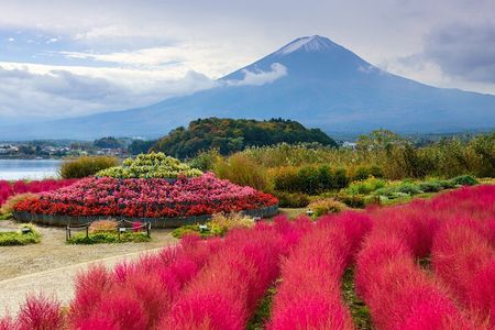 From Tokyo: Mount Fuji Highlights Tour with Kawaguchi Lake Cruise