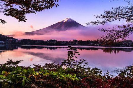 From Tokyo: Private Day Trip to Mount Fuji & Fuji Five lakes