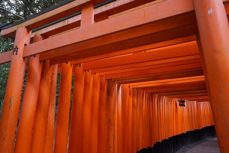 Kyoto Walking Tour at Fushimi Inari Shrine and Tofukuji Temple