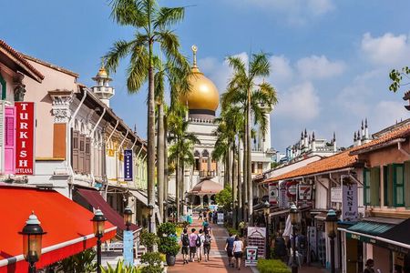 Best Singapore Tour for Cruise Passengers