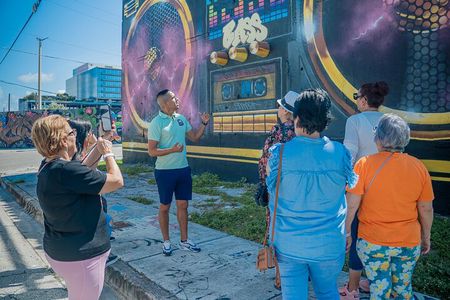 Miami in 3.5 Hours: City Sightseeing Tour with Local Guide