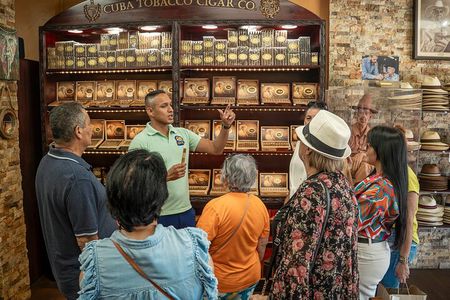 Ultimate Miami City Tour – Art Deco, Wynwood & Little Havana