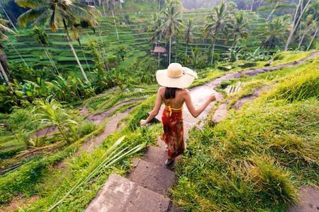 Ubud Full Day Tour: Private and Customizable