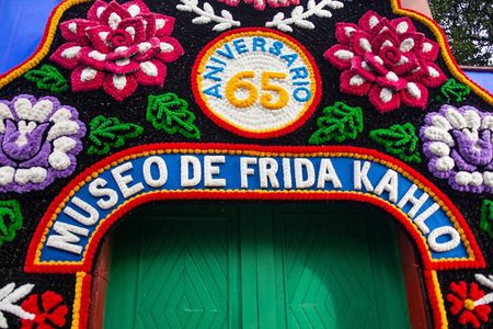 Frida Kahlo Museum : all the different options with an expert