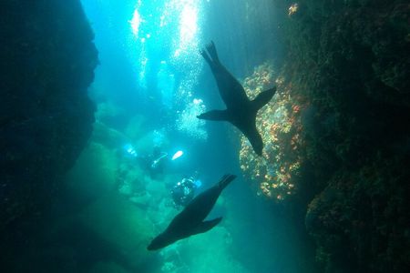 Espiritu Santo Island Snorkeling and Beach Hopping