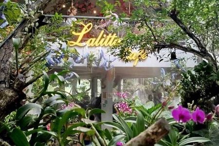 Chiang Mai-Chiang Rai: White Temple-Blue Temple-Lalita Cafe