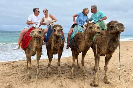 Half-Day Tangier Private Tour & Camel Ride & Colorful Markets 
