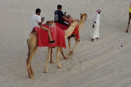 Private-Doha Half Day Safari/ Quad Bike and Camel Ride included 