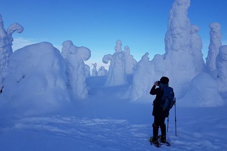 Riisitunturi National Park Snowshoe Experience
