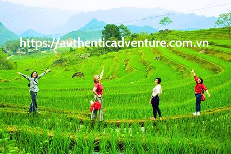 9-Day Vietnam Tour | Explore the North and Central | Top Packages