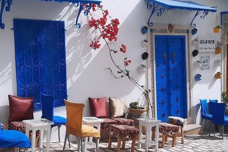 From Port La Goulette: Private Day Trip to Tunis 