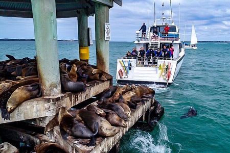 1.5hour Scenic and Wildlife luxury cruise