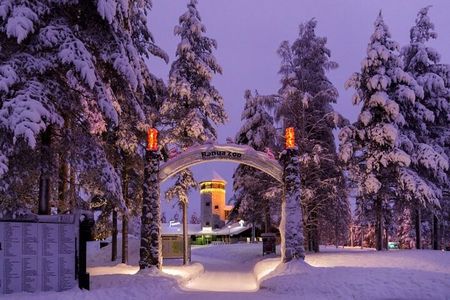 Ranua Zoo- Guided day tour from Rovaniemi 