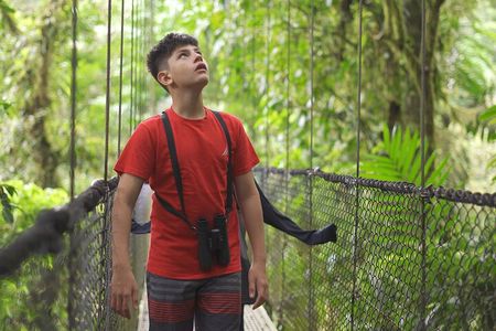 La Fortuna Full Day Waterfall, Arenal Volcano and Hanging Bridges
