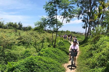 Half-Day My Son Sanctuary Bike Tour from Hoi An