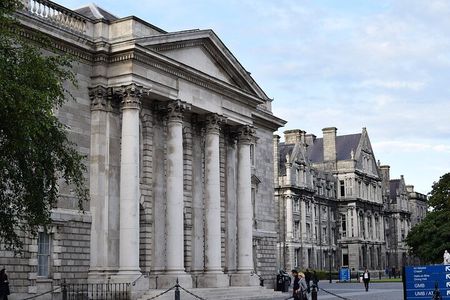 Guided Walking Tour in Dublin