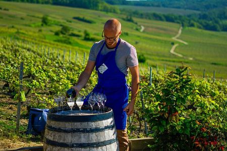 Private Tour of a Wine Estate and Tasting in Trélou-sur-Marne
