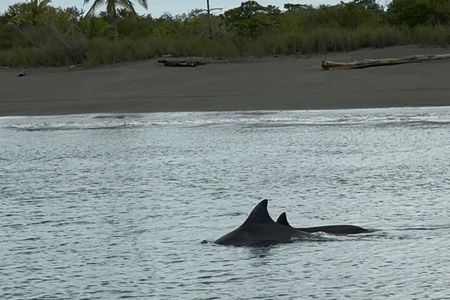 Corcovado NP – Sirena Day Tour by Boat from Puerto Jimenez