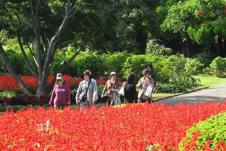Colors of Japan, Fukuoka Nokonoshima Island Park & Wagyu BBQ