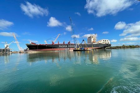 Port Brownsville Nature Tour