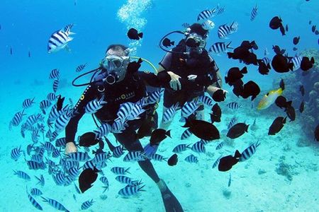 Baptism diving in the turquoise waters of Tahiti 