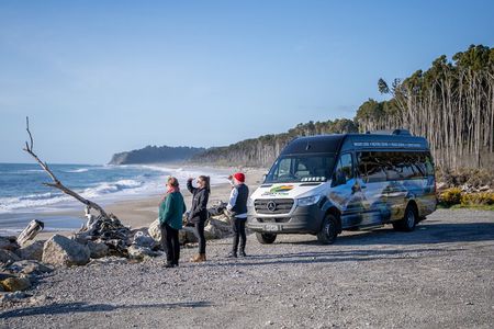 Franz Josef to Queenstown Small Group Tour via Wanaka 1 -Way