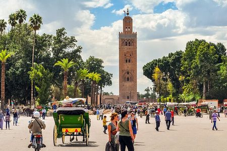 Half-Day Marrakech Highlights: Medina, Palaces, and More