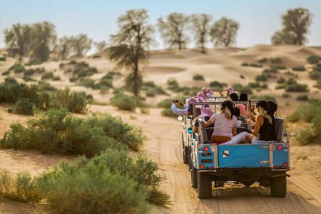 Authentic Safari in Vintage Land Rover with Traditional Dinner