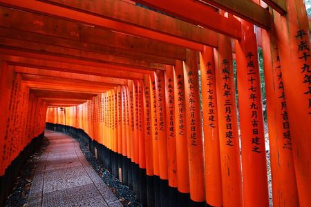 Kyoto Private Highlights Tour by Car