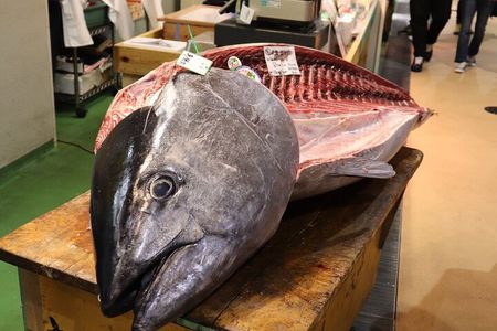 Tokyo Tsukiji Fish Market Private Food Tour