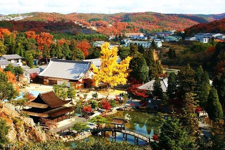 Tiger Creek Mountain, Eihoji Temple & Korankei Tour: From Nagoya