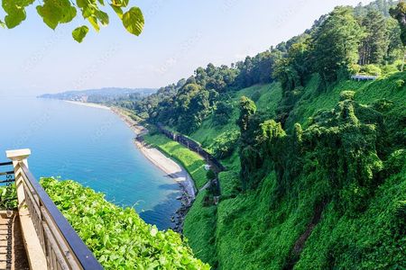 Mtirala National Park & Botanical Garden / Tour From Batumi
