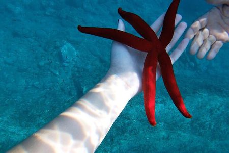 Taormina and Isola Bella Boat Tour: with Snorkeling and Aperitif