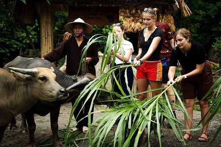 Discover Ninh Binh’s Highlights Hidden Gems 1 Day Motorbike Tour