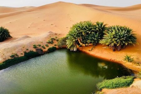Riyadh City Tour with Camel Riding