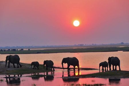 Chobe Day Trip Livingstone to Botswana