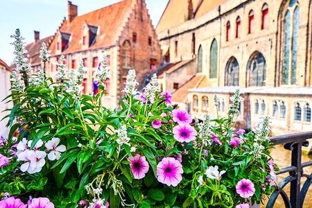 Bruges Tour from Cruise Port and Venice of the North Canal Cruise