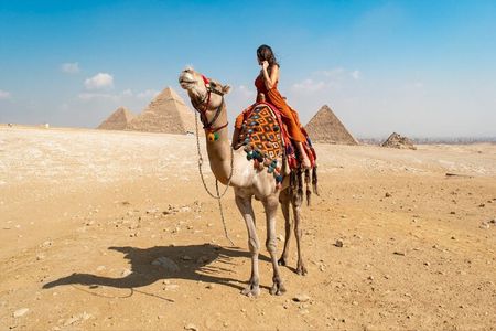 Half-Day Tour Giza Pyramids and Great Sphinx with Guide
