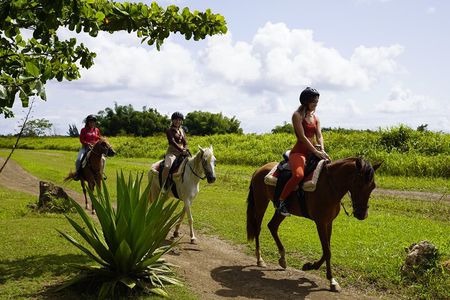 Horseback Riding Tour at Private Ranch