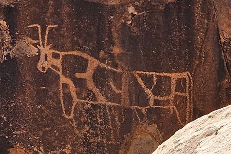 Historical Landmark in Tabuk Region Full Day Tour