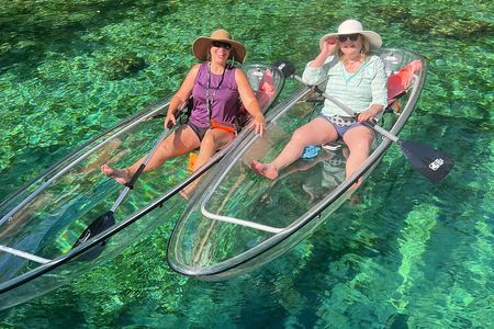 Clear Kayak Spring & Wildlife Tour Crystal River with Free Photos