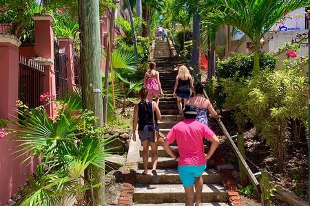 6 Hour St. Thomas Private Sightseeing Tour
