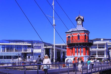 "Half-Day Robben Island Tour with Customizable Options Included