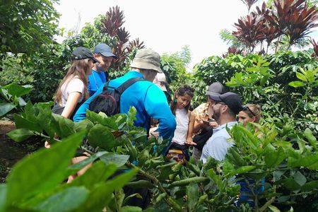 Full Day Filandia Trekking Park Barbas Bremen and Workshop Cesteria