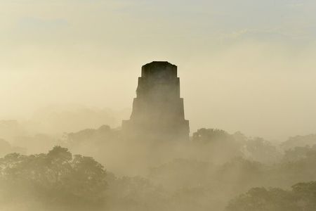 Private Full Day Tour in Tikal